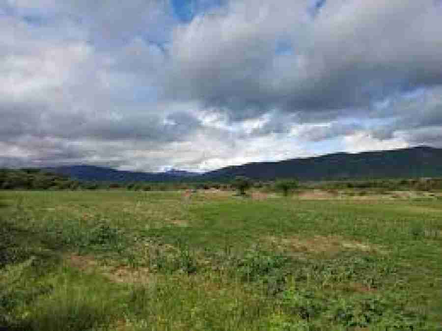 Estafa en Tarija: Pareja pagó $us 175 mil por terrenos que aún no les entregan