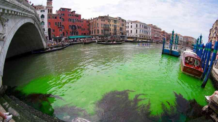 Descubren por qué las aguas se tornaron verde fosforescente en un tramo de los canales de Venecia