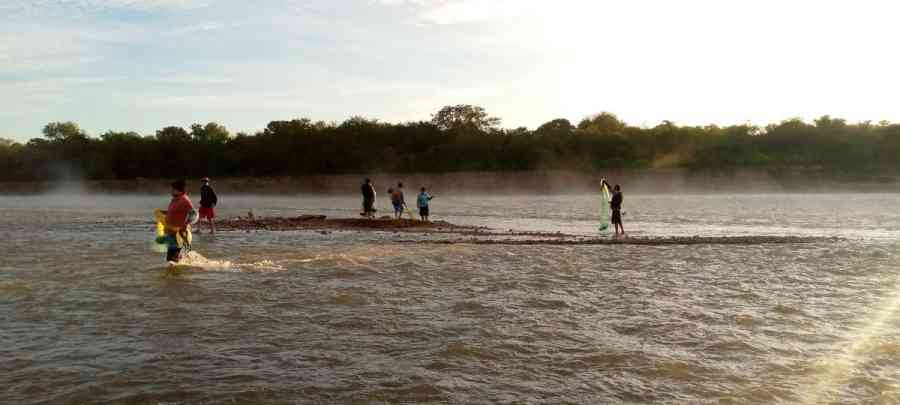 Desaparece el sábalo, sugieren veda de 3 años en el Pilcomayo