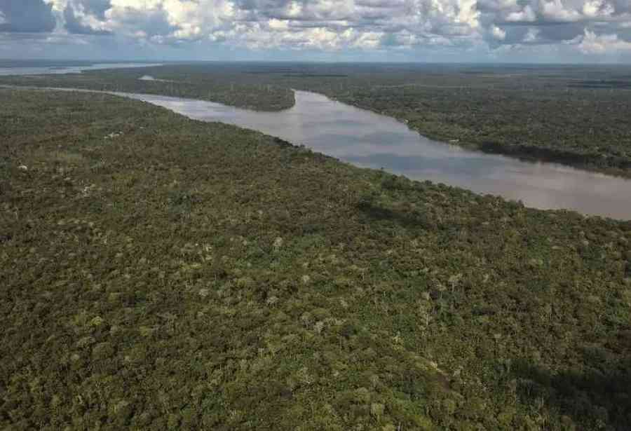 Bolivia y Brasil, dos sudamericanos en el top 3 mundial de deforestación, están reunidos en Colombia para proteger la reserva natural
