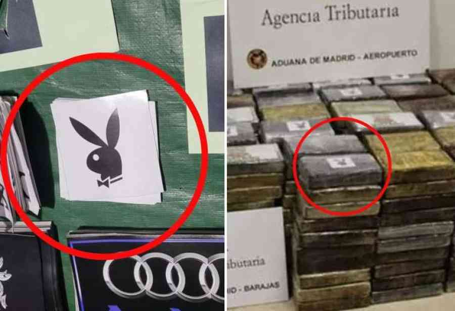 Investigan posible relación de marca del conejito de Playboy encontrada en Chapare con droga del narcovuelo
