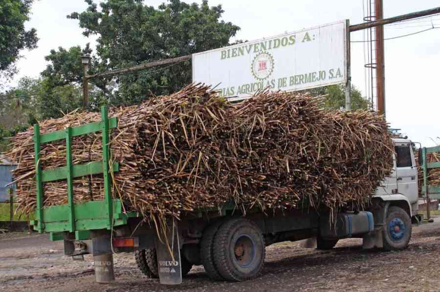 Iabsa y cañeros de Bermejo cierran contrato por dos años, la zafra arranca el 5 de agosto