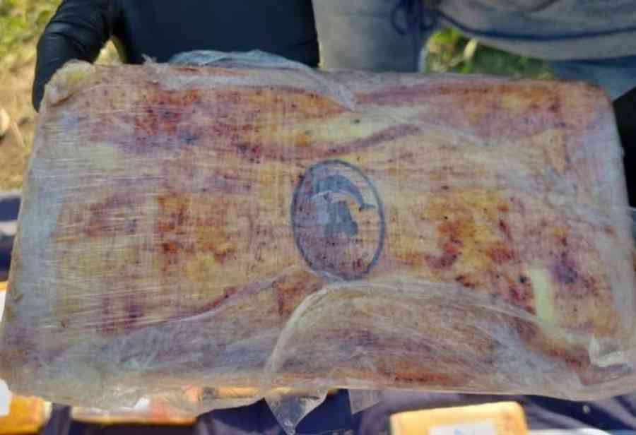 Policía argentina decomisa 25 kilos de cocaína provenientes de Bolivia y Perú