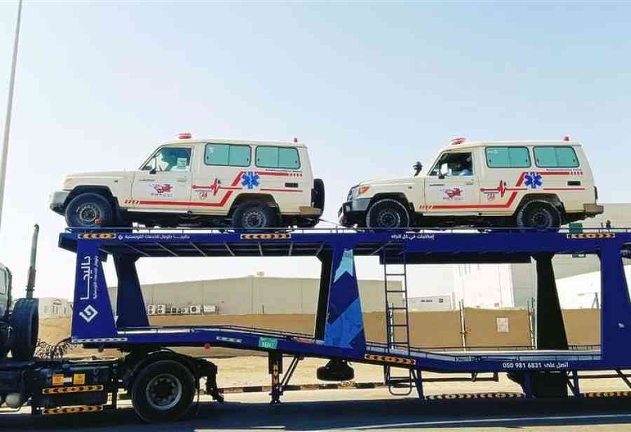 Pakistaníes pagaban a Stefals Logistic $us 500 por cada vehículo vendido en Bolivia