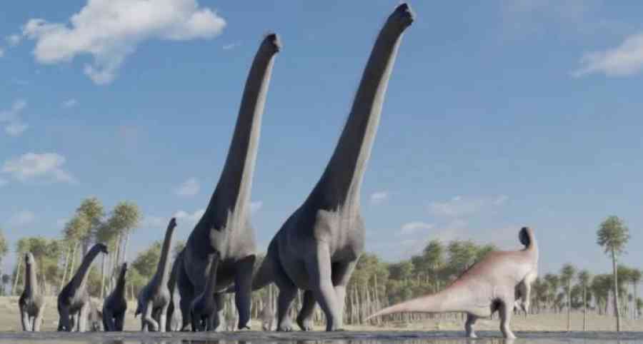 "Guardería de dinosaurios", un asombroso hallazgo paleontológico en Tarija