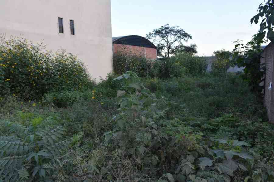 Endurecerán sanciones para dueños de lotes baldíos