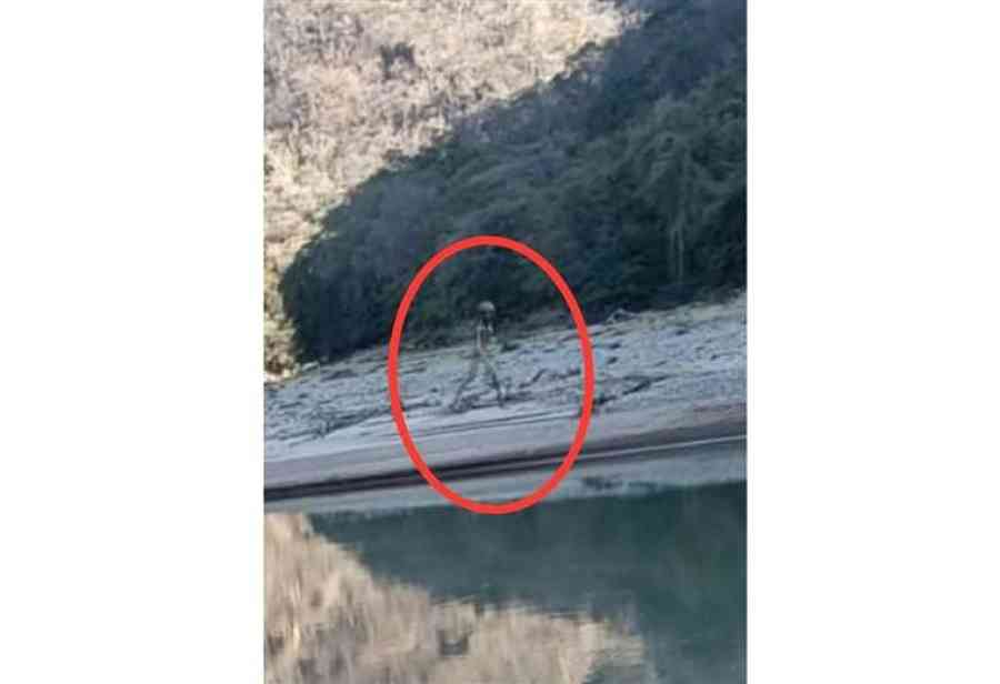 Ufólogo sugiere hacer un filtro para determinar veracidad del ser extraterrestre de la foto del río Pilcomayo