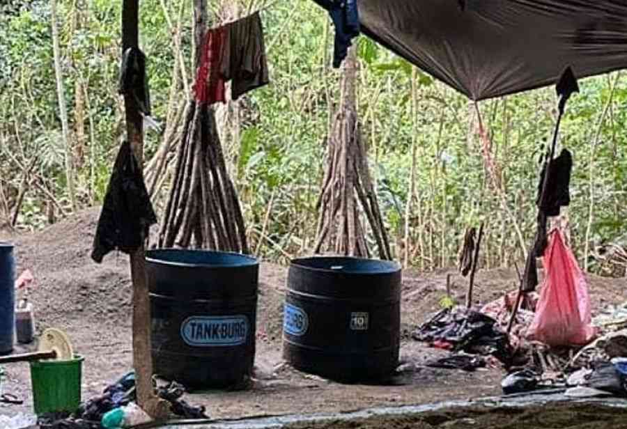 Destruyen siete fábricas de cocaína en el Chapare y aprehenden a un peruano