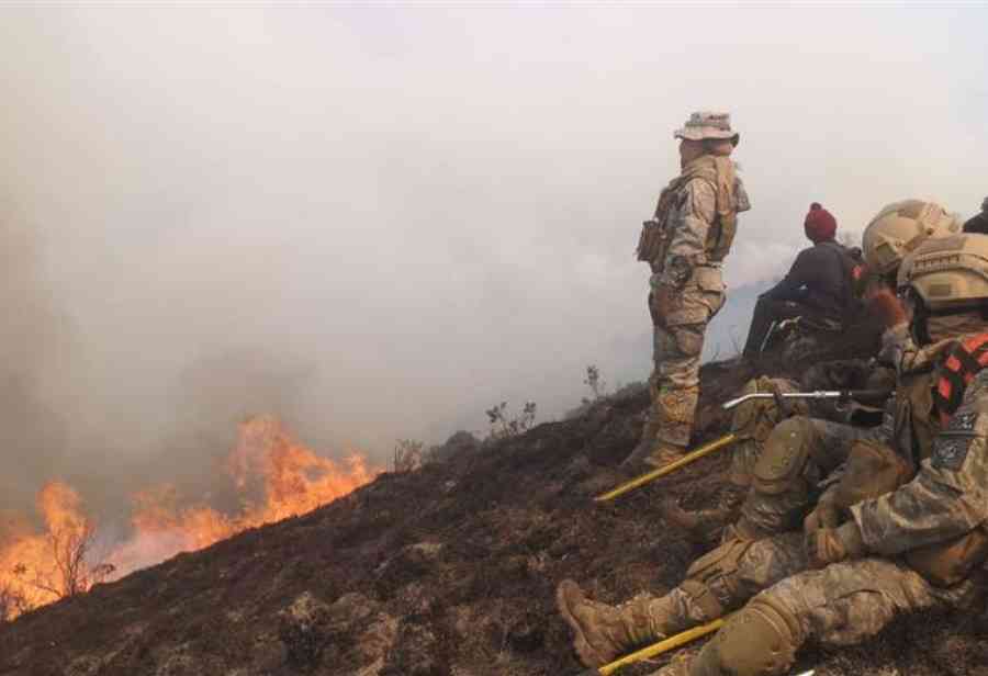 ABT inicia 31 procesos administrativos por incendios en el país