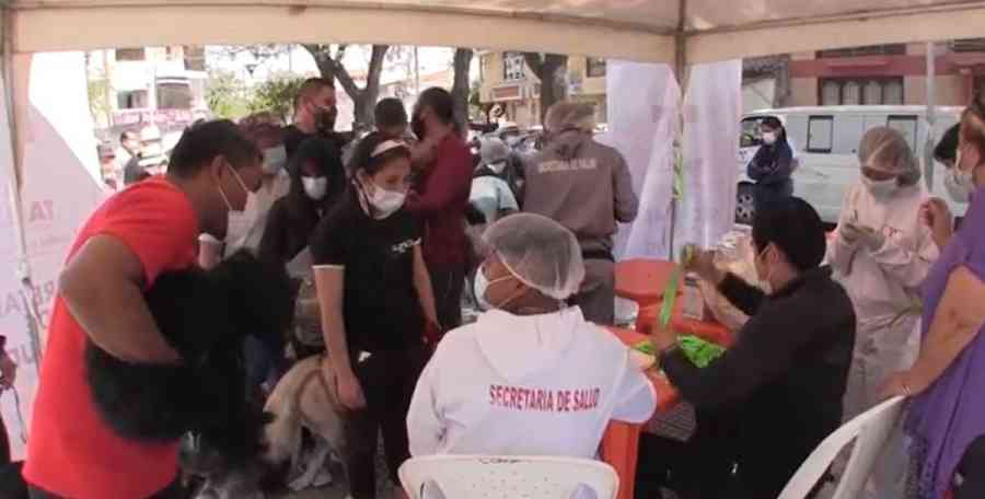 Este fin de semana vacunarán contra la rabia a perros y gatos de Tarija