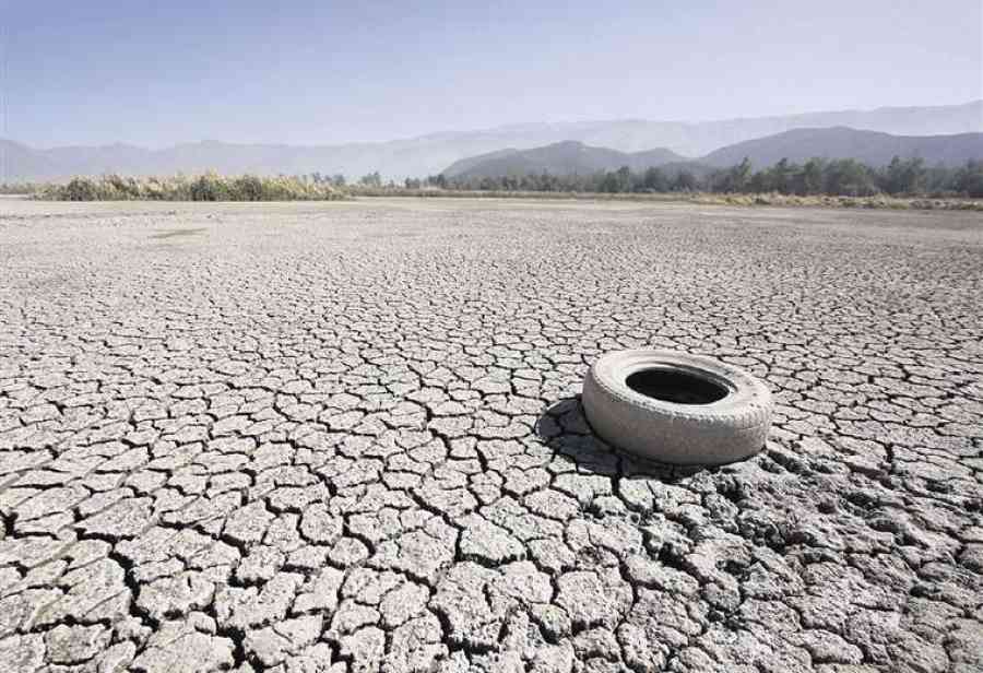 El 85% de los municipios del país sufren por la sequía; Potosí es un caso extremo