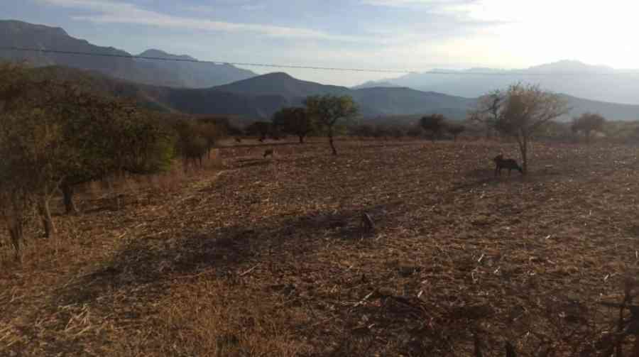 Tarija se debate entre el estiaje y la sequía, las lluvias aún demorarán