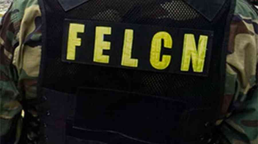 Operativos de la fuerza antidroga en Santa Cruz y Tarija afectan al narcotráfico en $us 1,6 millones