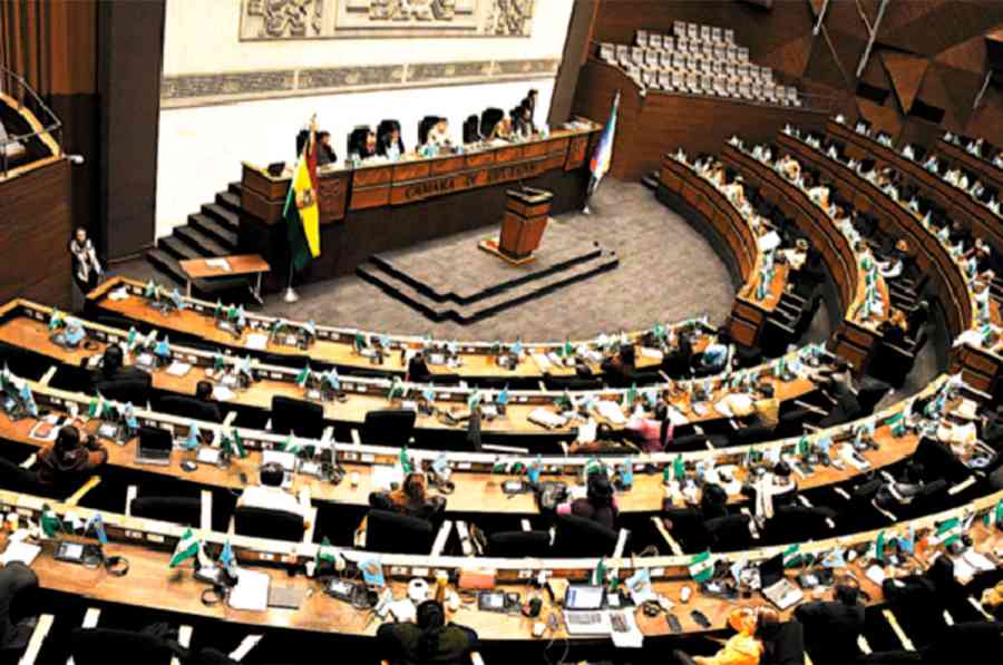 El TCP frena debate de otros proyectos en la Cámara de Diputados