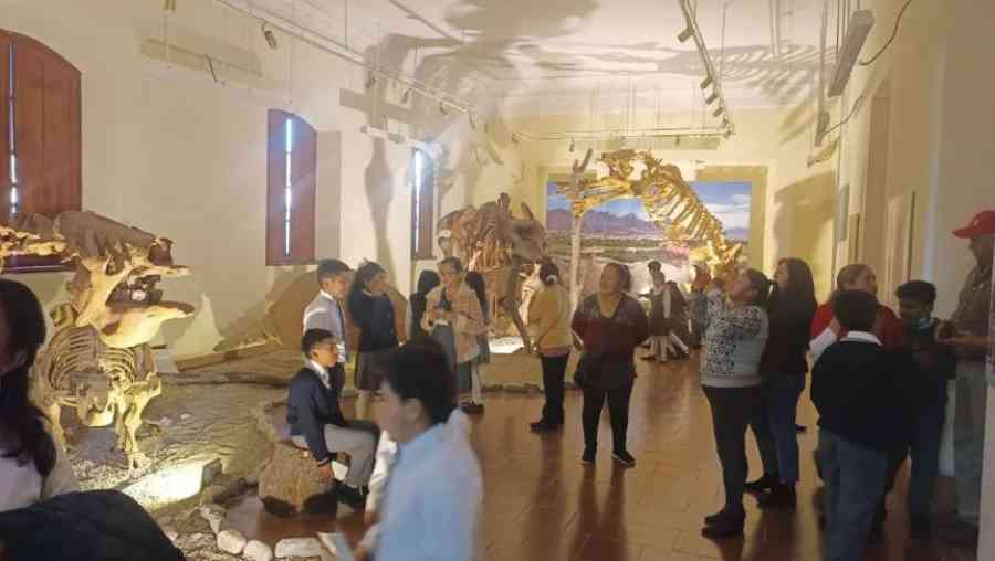 Proyecto busca erigir a Tarija como “Tierra de gigantes”