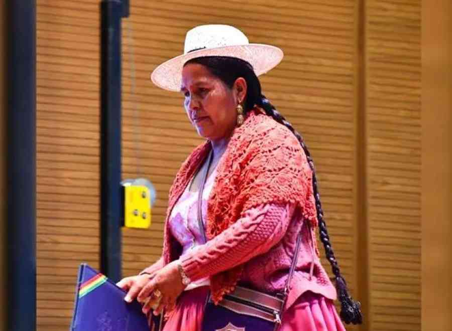 Ministra de Culturas denuncia amenazas y que dirigentes cocaleros le han prohibido ingresar al Chapare