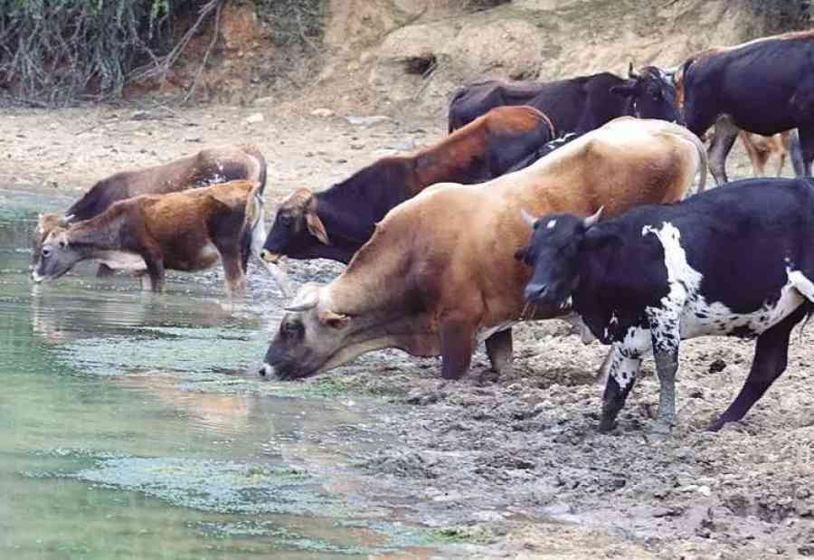 Agro alerta que si la humedad no mejora no habrá cultivos hasta 2024