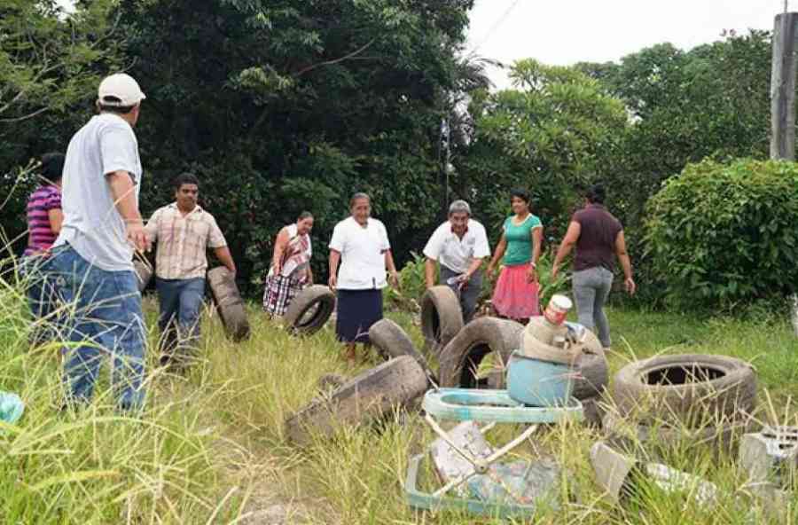 Tarija en alerta por el dengue: SEDES confirma el primer caso en Villa Montes