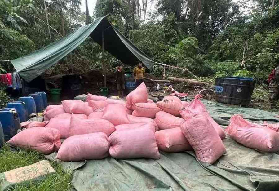 Destruyen otras dos fábricas de cocaína en el Chapare; hay dos aprehendidos