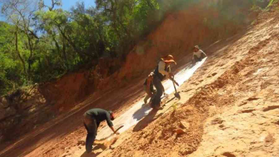 Descubren más huellas de dinosaurios en un nuevo epicentro paleontológico en Entre Ríos - Tarija