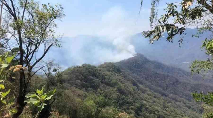Comunarios de Tariquia denuncian que hace dos semanas se está quemando la reserva y nadie hace nada