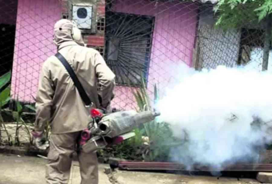 Registran una muerte por dengue en La Paz y se refuerzan las campañas contra el mosquito