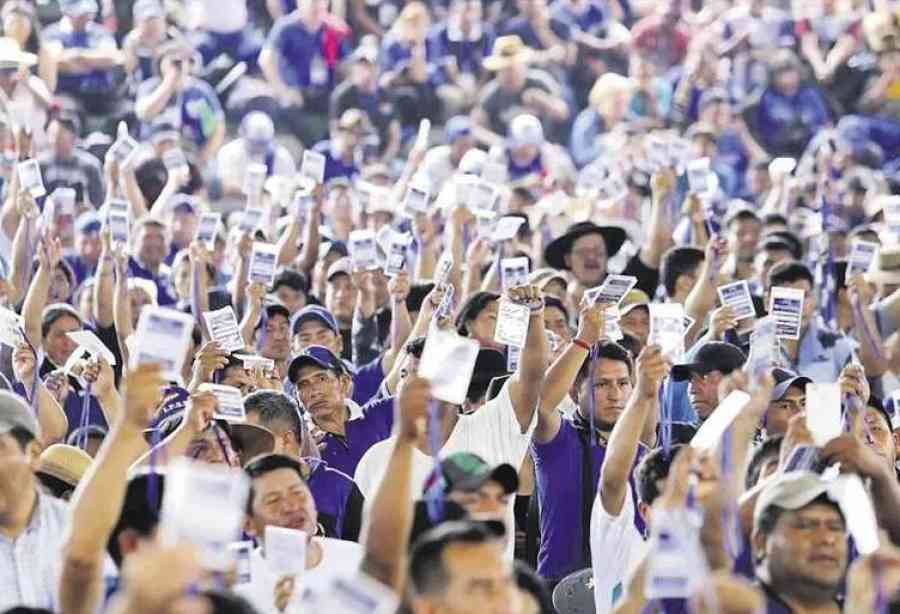 Fallo que validó el congreso que proclamó a Evo deberá ir al TCP