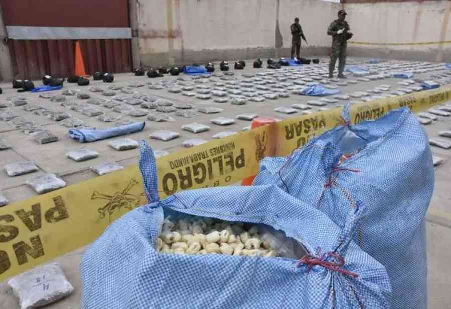 Decomisan más de 348 kilos de marihuana que estaban ocultos en camión con pasankallas