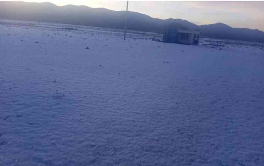 Granizo afectó cultivos y ganado en 20 comunidades de Yunchará