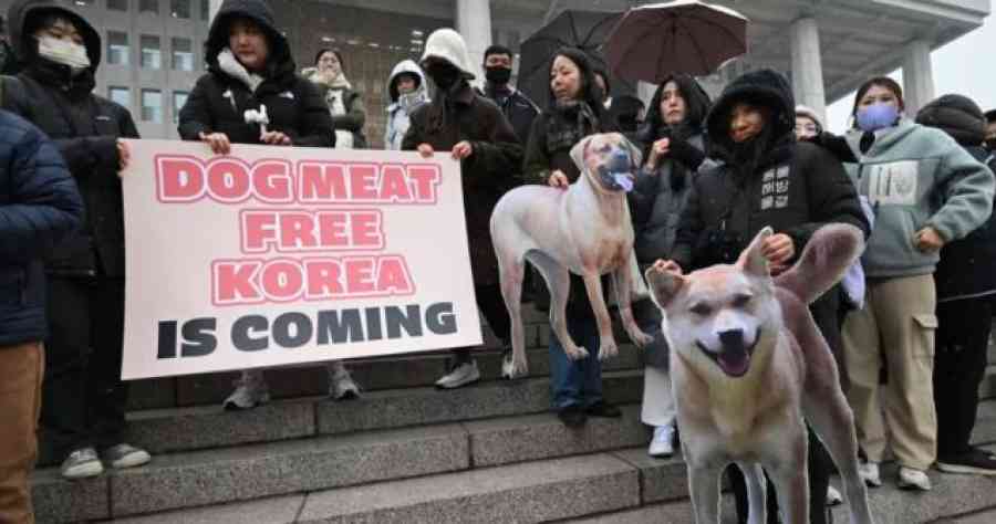 Corea del Sur prohíbe la venta de carne de perro pese a la oposición de las viejas generaciones
