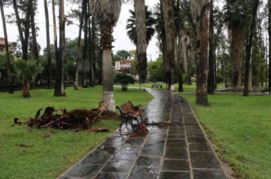 Concejo impulsa proyecto de Ley para establecer un Centro Paleontológico en el ex zoológico de Tarija
