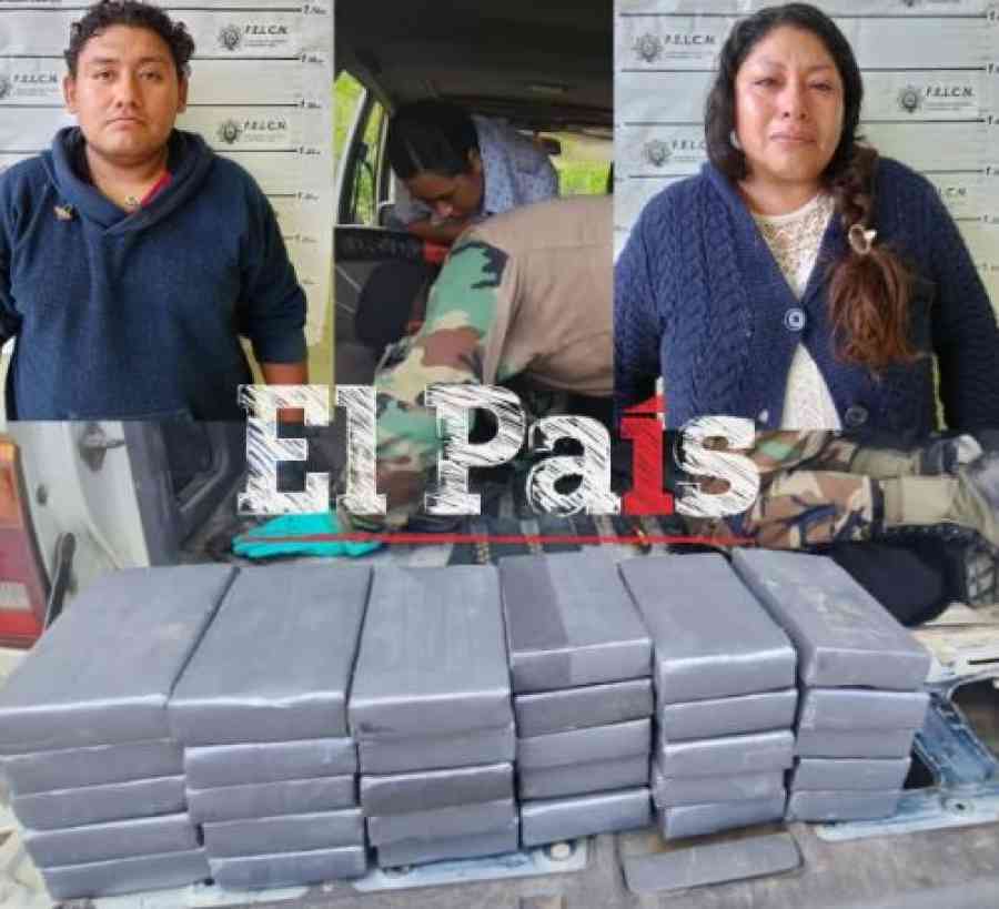 Aprehenden a una pareja en Tarija con 31 kilos de droga