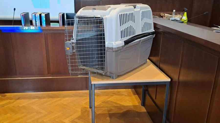 Condenan a 20 años de cárcel a una madre austríaca por torturar a su hijo en una jaula para perros