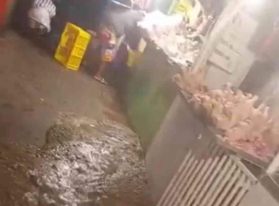 Materia fecal se esparce en el mercado de Yacuiba tras desborde de cámara séptica