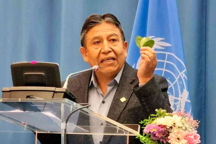 Bolivia defiende despenalización de la coca ante Comisión de Estupefacientes de la ONU