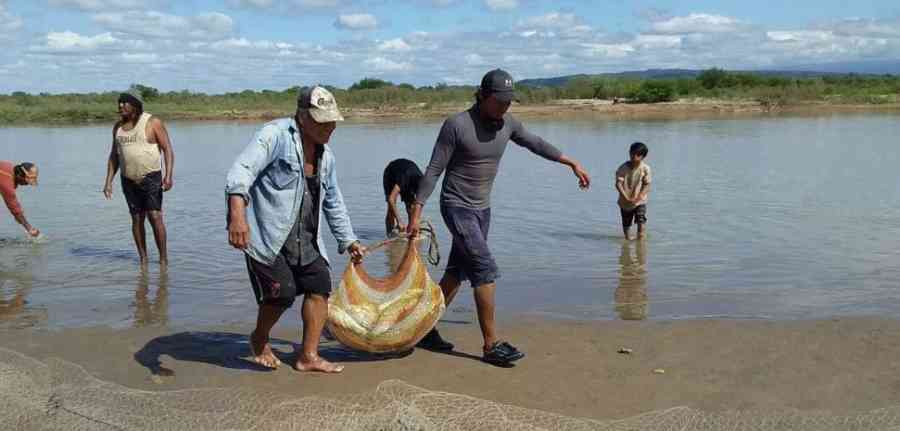 Levantan la veda en el río Pilcomayo para dar inicio a la temporada de pesca