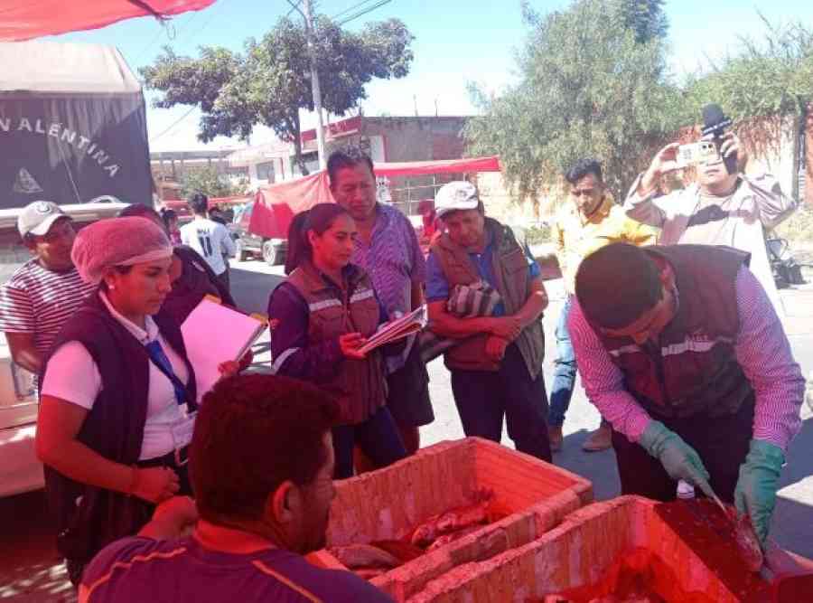 Por los parásitos, recomiendan cocinar el sábalo a 60 grados