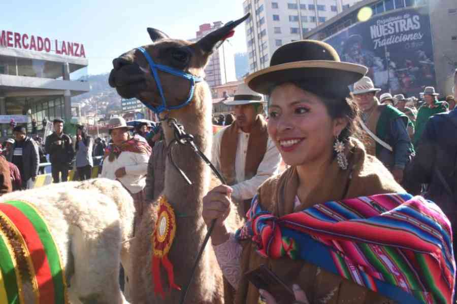 Arce inaugura el Año Internacional de los Camélidos con el anuncio de un plan ‘maestro’