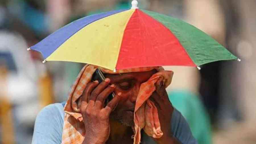 India sufre temperaturas superiores a los 50 °C y ya ocurrieron muertes por la ola de calor