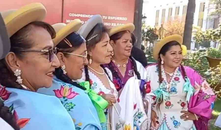 Sancionan ley que declara patrimonio cultural la vestimenta típica de la moza chapaca