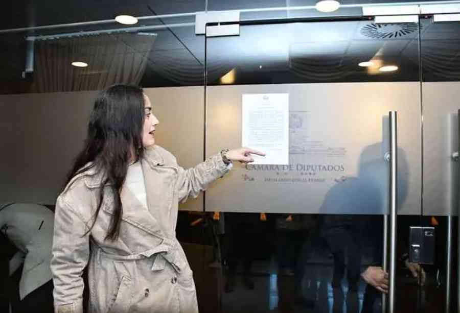 Ordenan fumigar la Cámara de Diputados en la previa de la sesión de la Asamblea convocada por Andrónico