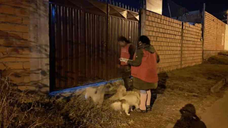 Zoonosis notifica a 150 dueños de canes dejados en la calle