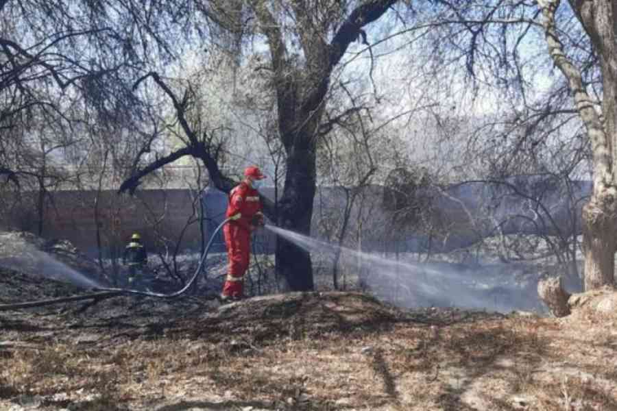Municipio de Tarija inició dos procesos por incendios en lotes baldíos