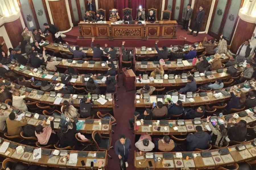 Diputados aprueba la ley de suspensión de primarias pese a la férrea oposición del evismo