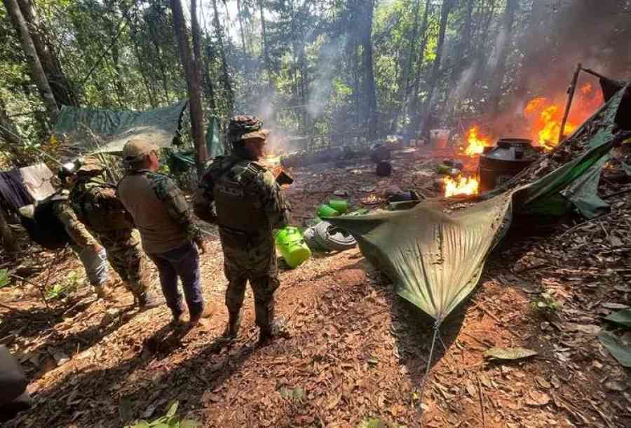 Destruyen dos megalaboratorios que purificaban hasta 200 kilos de cocaína al día