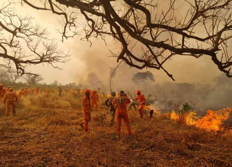 Alcalde de San Matías: El fuego ‘es incontrolable’ y solo ‘esperamos un milagro’