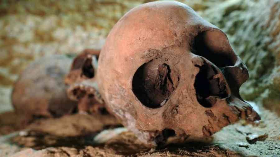 Descubren cráneo y fémur humanos en San Lorenzo - Tarija
