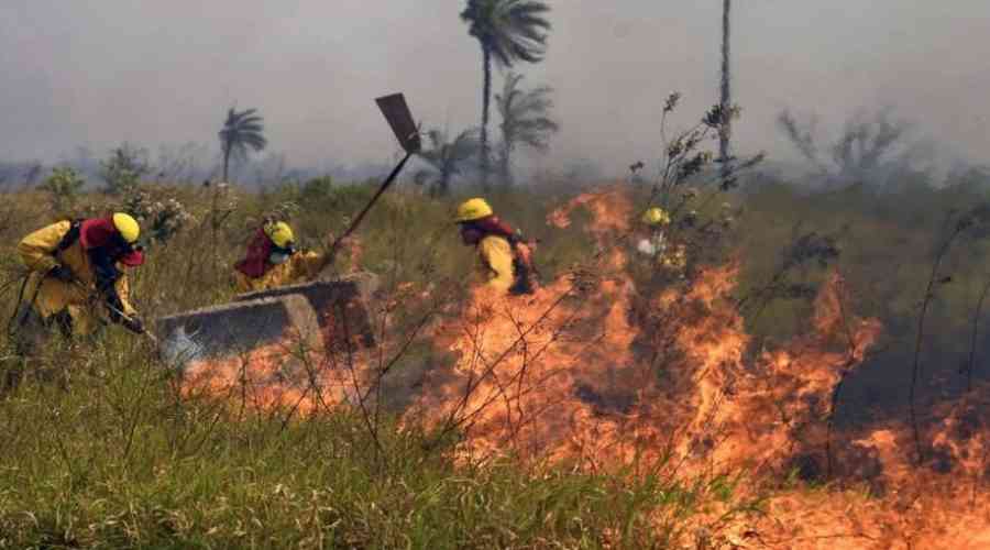 Bolivia registra 78 incendios activos en 27 municipios y tres departamentos