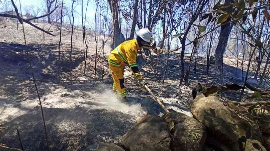 Tras incendios forestales, Alcaldía insta a evitar los chaqueos