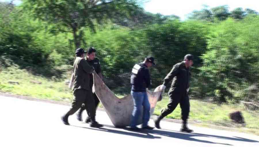 Bermejo: Encuentran un cadáver sobre la carretera